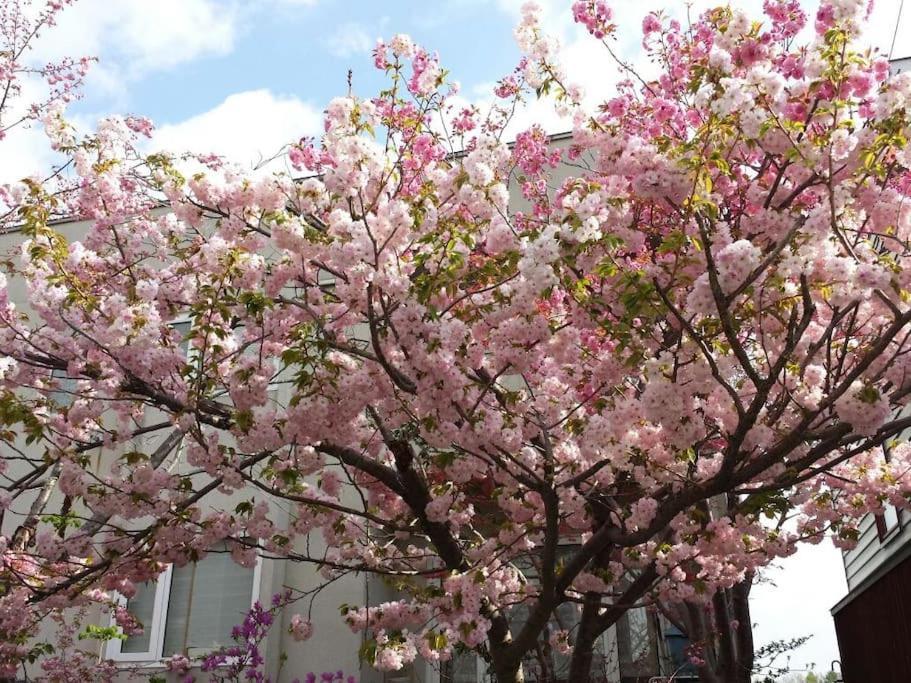 ホテル 川と森の静かな街に朝陽の見える部屋 無料駐車場 札幌市 エクステリア 写真